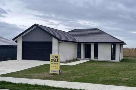 Photo of property in 9 Williams Road, Hobsonville, Auckland, 0618