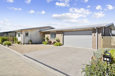 Photo of property in 38 Jarrett Terrace, Leamington, Cambridge, 3432