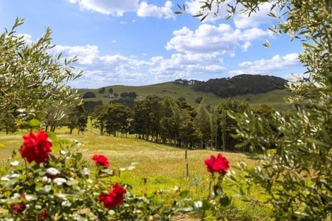 Photo of property in 237 J V Grant Road, Wellsford, 0973