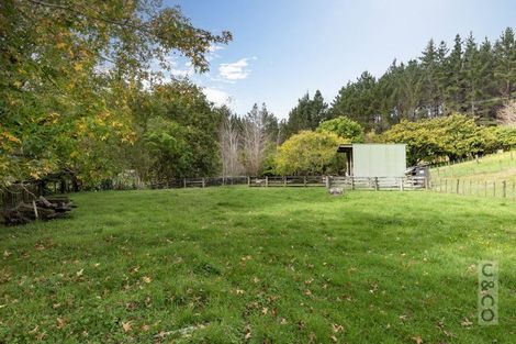 Photo of property in 293 Ararimu Valley Road, Helensville, Waimauku, 0882