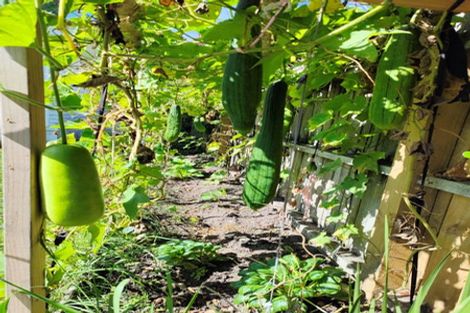 Photo of property in 55 Williamson Avenue, Belmont, Auckland, 0622