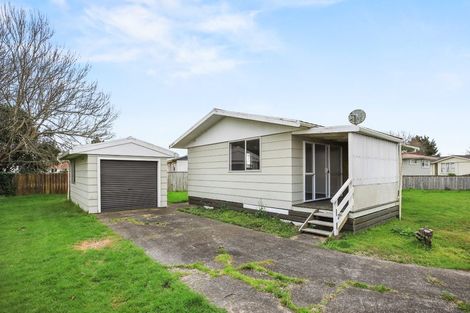 Photo of property in 20 Menzies Place, Paeroa, 3600