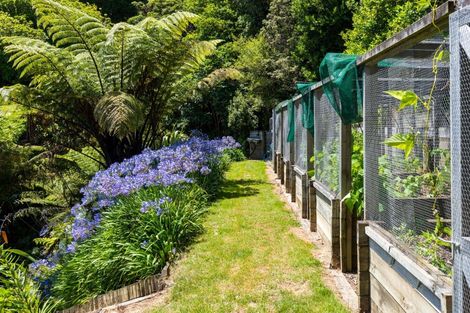 Photo of property in 251 Queen Charlotte Drive, Havelock, Picton, 7281