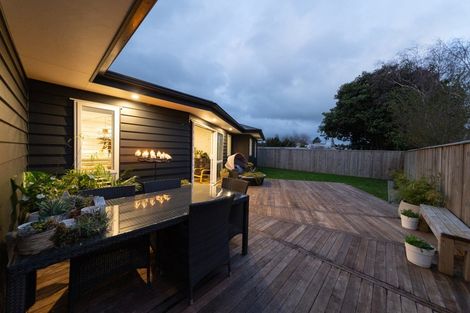 Photo of property in 68b Manson Street, Terrace End, Palmerston North, 4410