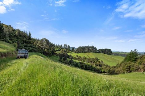 Photo of property in 225d Woodland Road, Tahawai, Katikati, 3170