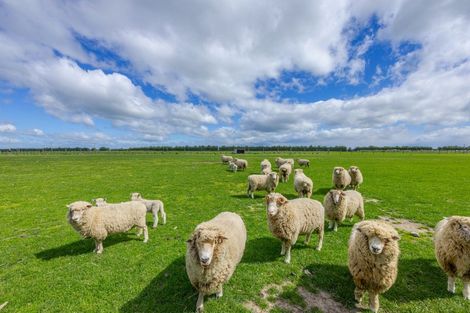 Photo of property in 1182a Tikokino Road, Waipawa, 4273