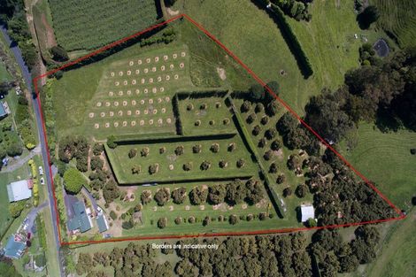 Photo of property in 313 Youngson Road, Whakamarama, Tauranga, 3179