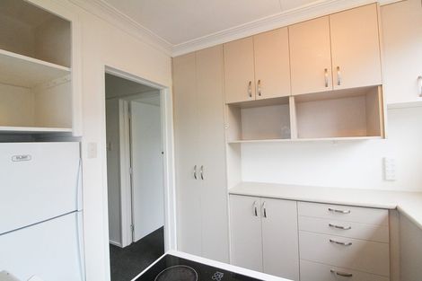 Photo of property in 15b Fifield Street, Roslyn, Dunedin, 9010