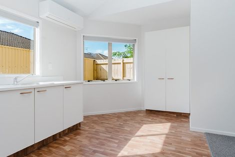 Photo of property in 209c Killarney Road, Frankton, Hamilton, 3204