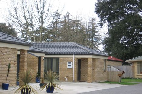 Photo of property in 12 Archer Court, Hamilton East, Hamilton, 3216