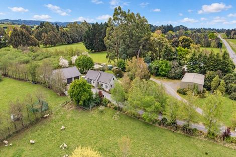 Photo of property in 87 Marshmans Road, Ashley, Rangiora, 7477