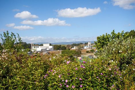 Photo of property in 10 Jordan Place, Tirau, 3410