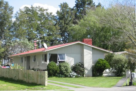 Photo of property in 63 James Henry Crescent, Huntly, 3700