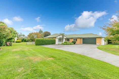 Photo of property in 12 Shadbolt Drive, Leamington, Cambridge, 3432