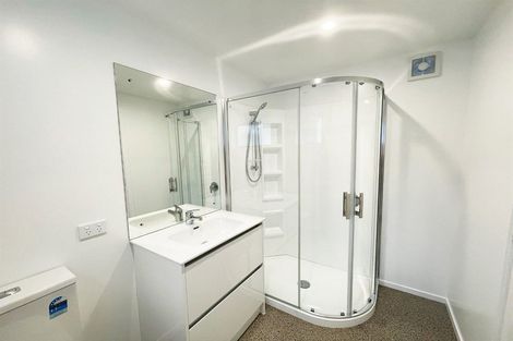 Photo of property in 29 Tyne Street, Roslyn, Dunedin, 9010