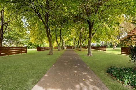 Photo of property in 59c Western Avenue, Omokoroa, 3114