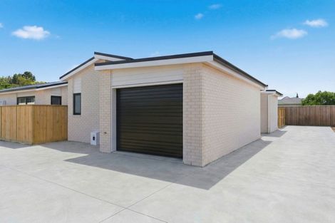Photo of property in 3/17 Clark Street, Levin, 5510