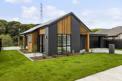 Photo of property in 173 Adler Drive, Ohauiti, Tauranga, 3112