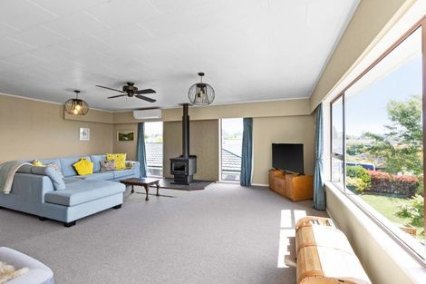 Photo of property in 25 Laurent Place, Greenmeadows, Napier, 4112