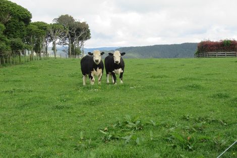 Photo of property in 207 Takapu Road, Manakau, Levin, 5573