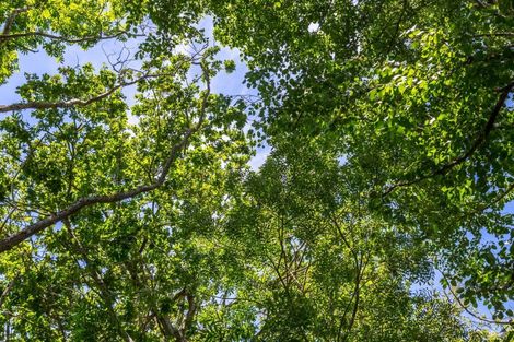 Photo of property in 15 Woodlands Way, Greytown, 5712