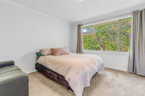 Photo of property in 5 Holyhead Street, Outram, 9019