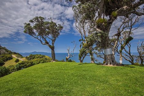 Photo of property in 21 Tangaroa Road, Mangawhai Heads, Mangawhai, 0505