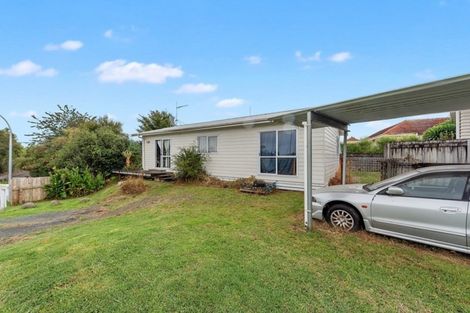 Photo of property in 55 Sillary Street, Hamilton East, Hamilton, 3216