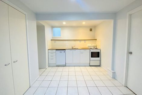 Photo of property in 26 Buchanan Street, Kingsland, Auckland, 1021