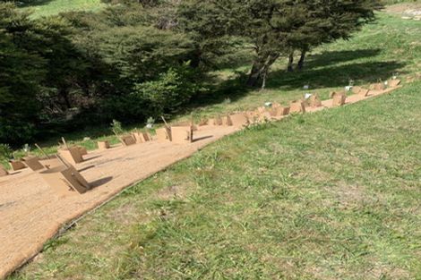 Photo of property in 21 Skylark Rise, Todds Valley, Nelson, 7071