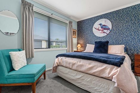 Photo of property in 49 Daniell Street, Solway, Masterton, 5810