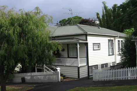 Photo of property in 17 Alexander Street, Kingsland, Auckland, 1021