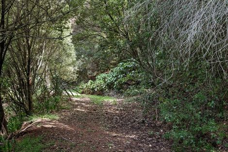 Photo of property in 168 Cheyne Road, Pyes Pa, Tauranga, 3112