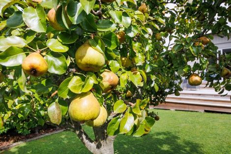 Photo of property in 1 Aotea Street, Feilding, 4702