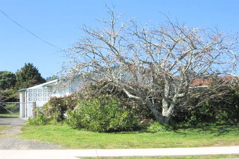 Photo of property in 35 Cook Drive, Whitianga, 3510