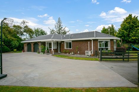 Photo of property in 10 Rowling Place, Leamington, Cambridge, 3432