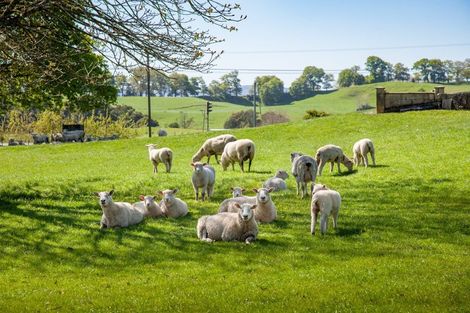 Photo of property in 3 Mcmillan Road, Tirau, 3484