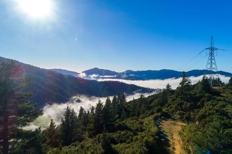 Photo of property in 2464 Port Underwood Road, Port Underwood, Picton, 7281