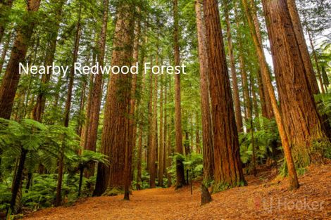 Photo of property in 58a Lynmore Avenue, Lynmore, Rotorua, 3010