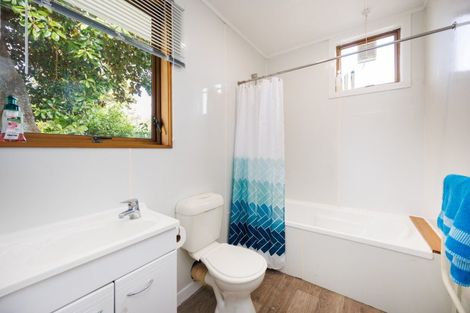 Photo of property in 168 Stanford Street North, Ashhurst, 4810