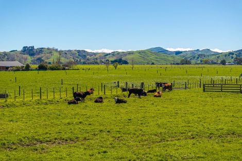 Photo of property in 211 Castlepoint Road, Te Ore Ore, Masterton, 5886