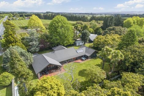 Photo of property in 330 Oropi Road, Oropi, Tauranga, 3173