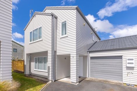 Photo of property in 52e Fifth Avenue, Enderley, Hamilton, 3214