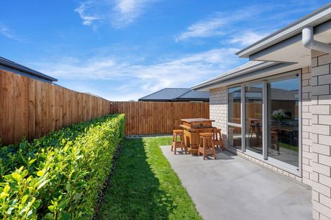 Photo of property in 29 Nicolau Avenue, Rolleston, 7615