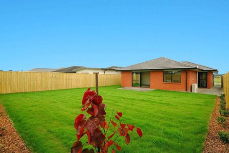 Photo of property in 33 Pakohe Street, Pegasus, 7612