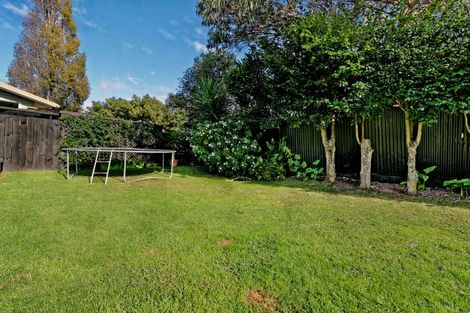 Photo of property in 7 Hinekohu Street, New Lynn, Auckland, 0600