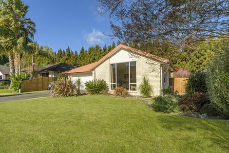 Photo of property in 16 Edwin Grove, Bethlehem, Tauranga, 3110