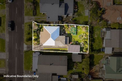 Photo of property in 63 Willoughby Street, Paeroa, 3600