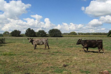 Photo of property in 452 Holland Road, Eureka, Hamilton, 3286