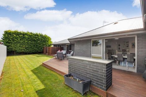Photo of property in 27 Titoki Street, Palmerston North, 4414